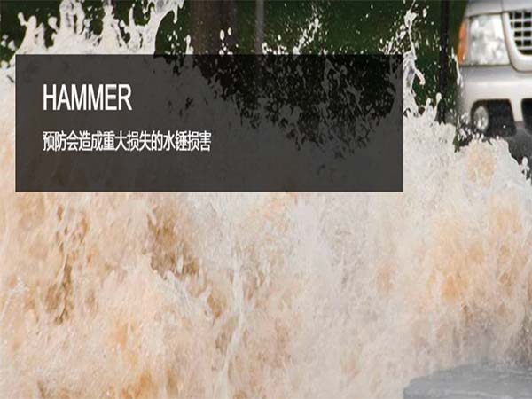 Hammer--水錘和瞬態分析軟件